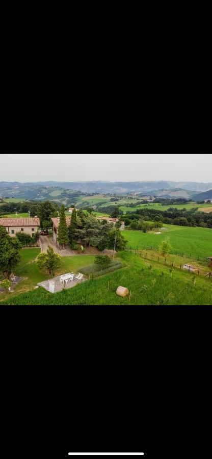 La Baita Nei Boschi Villa Serramazzoni Екстериор снимка