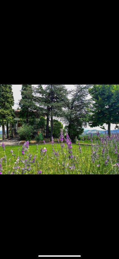 La Baita Nei Boschi Villa Serramazzoni Екстериор снимка
