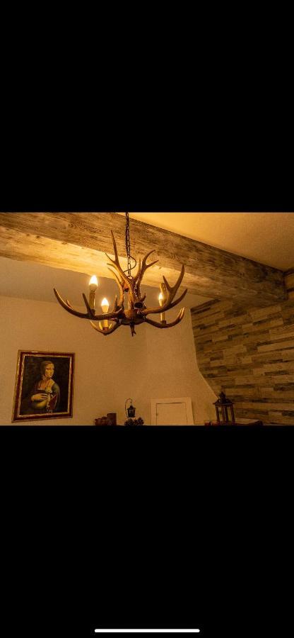 La Baita Nei Boschi Villa Serramazzoni Екстериор снимка