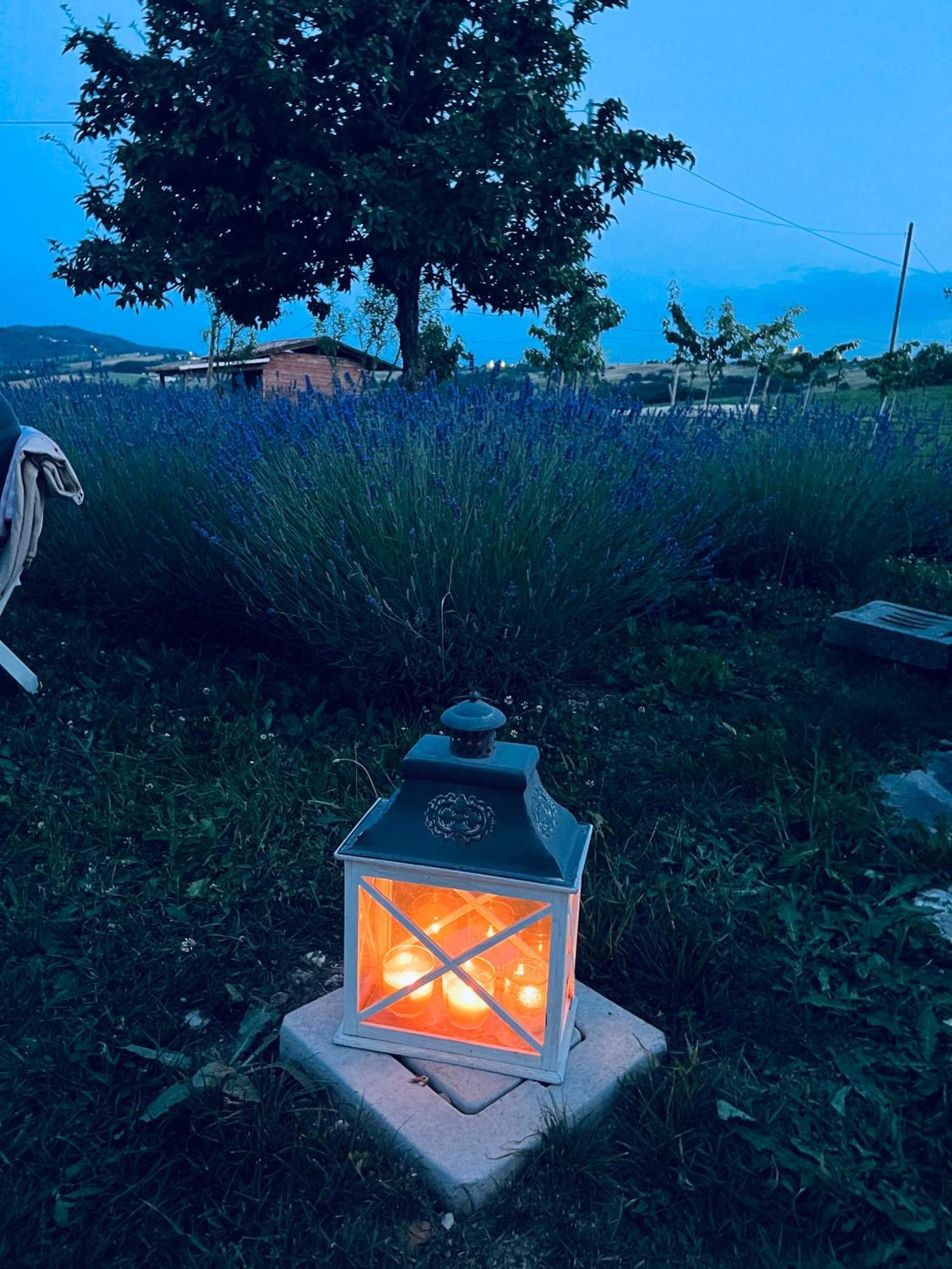 La Baita Nei Boschi Villa Serramazzoni Екстериор снимка